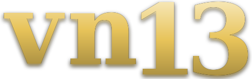vn13 logo